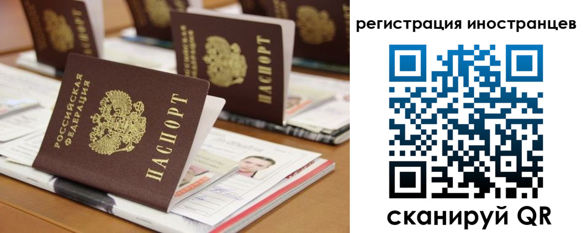 пропишу в квартире в Новосибирске